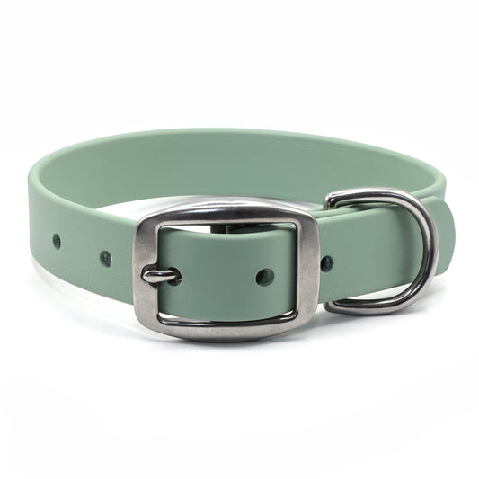 Biothane Buckle Collar
