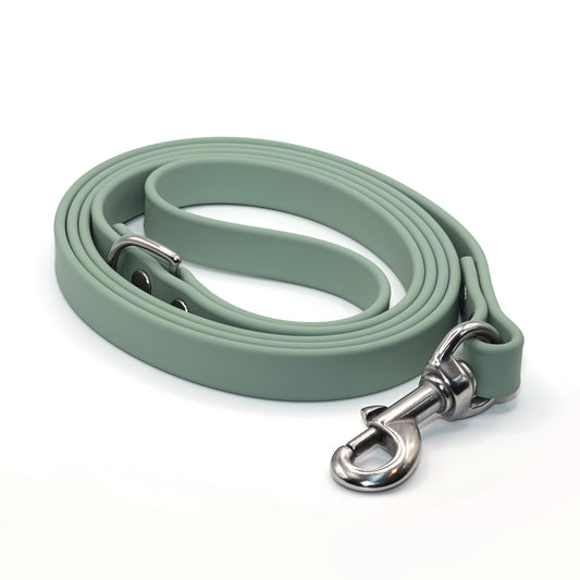 Biothane Leash