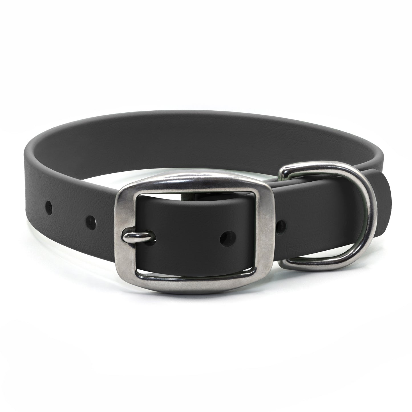 Black biothane dog collar with stainless steel hardware on a white background
