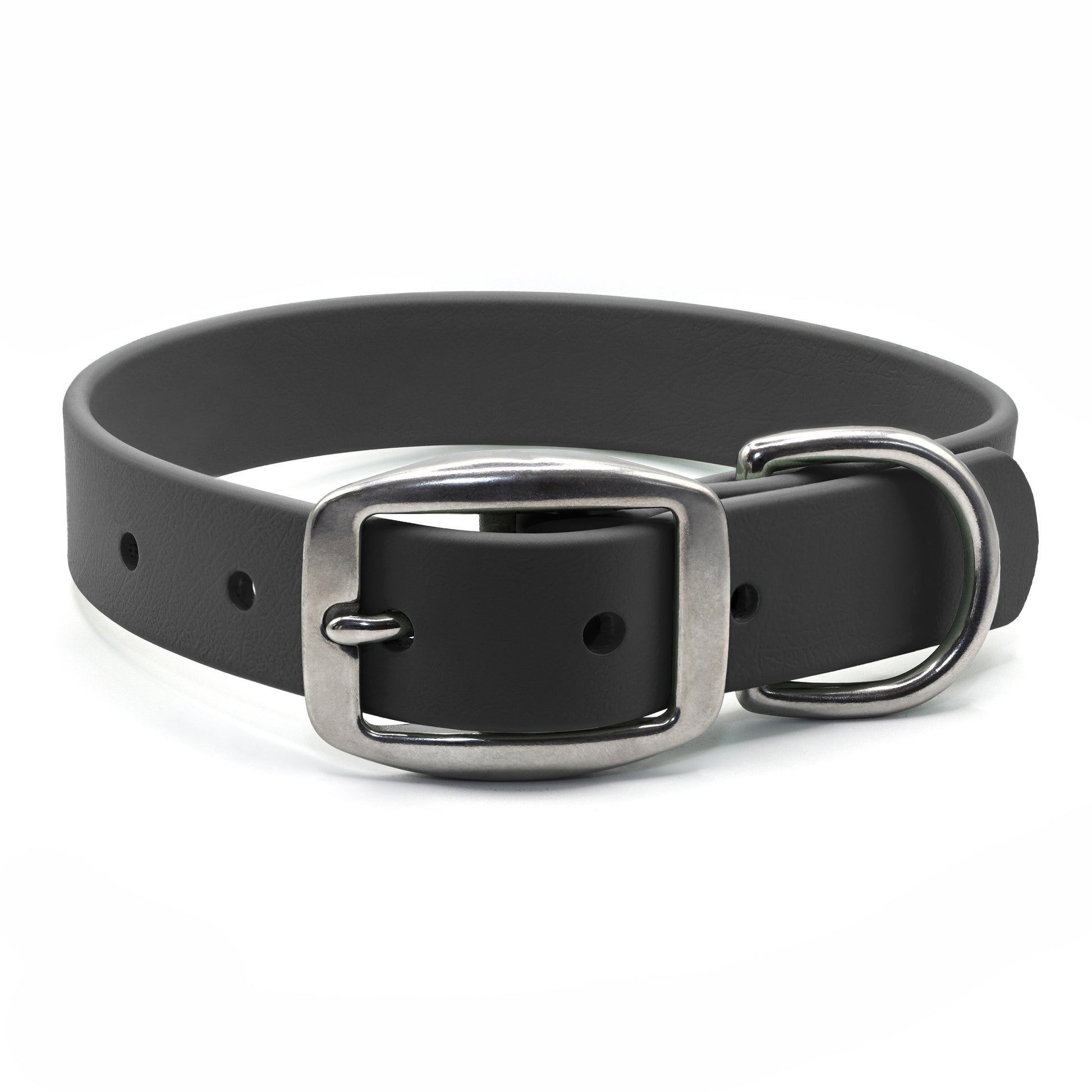 Black biothane dog collar with stainless steel hardware on a white background