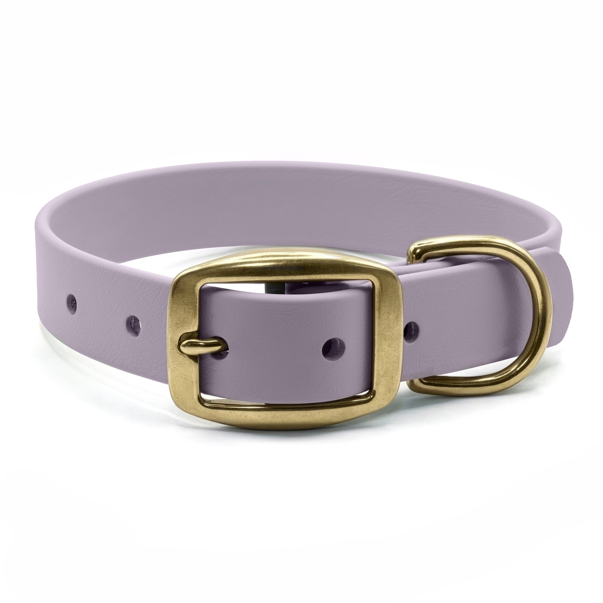 Lavender biothane dog collar with brass hardware on a white background