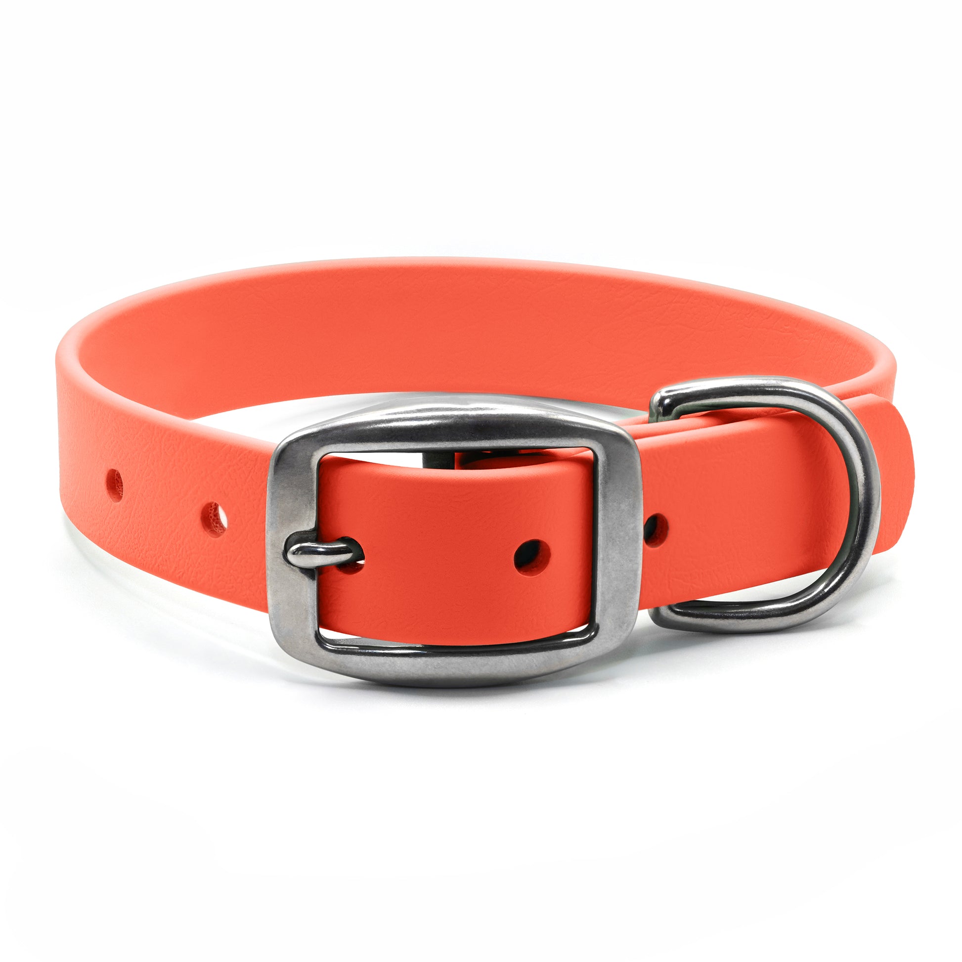 Orange biothane dog collar with stainless steel hardware on a white background