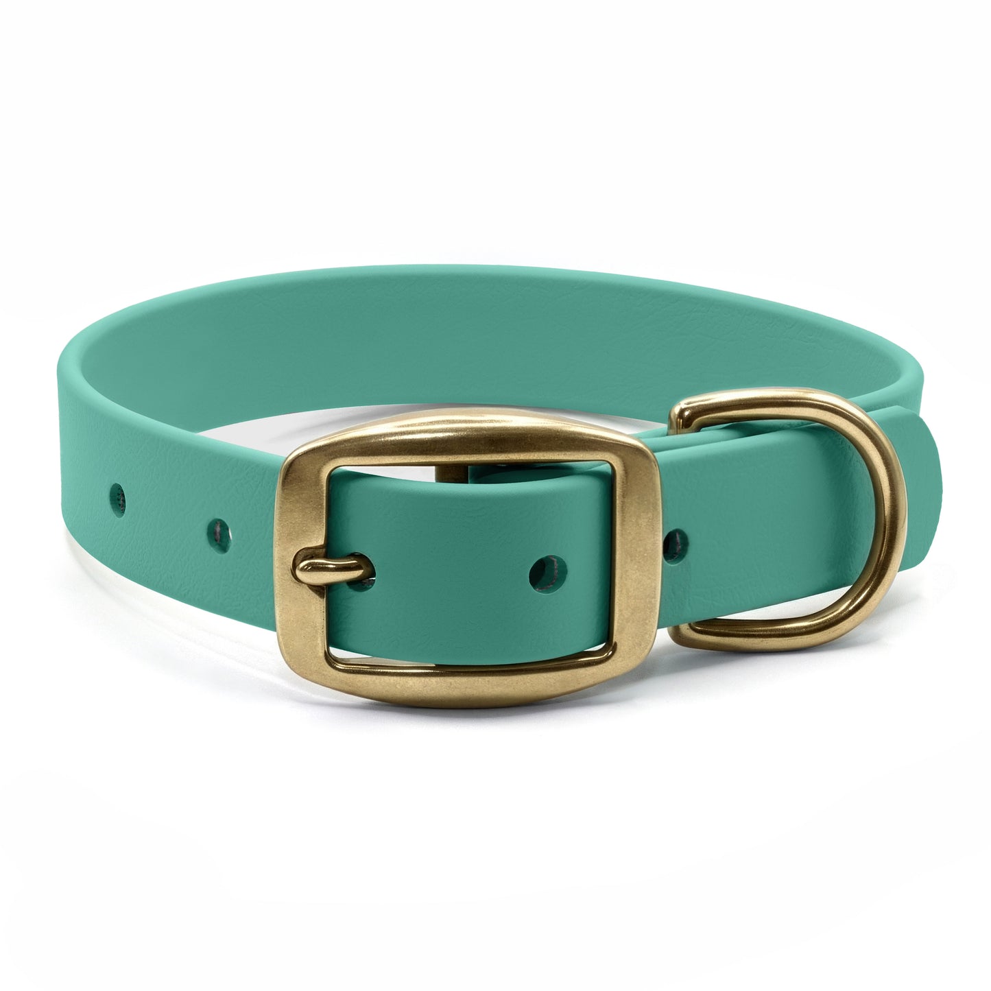 Teal biothane dog collar with brass hardware on a white background