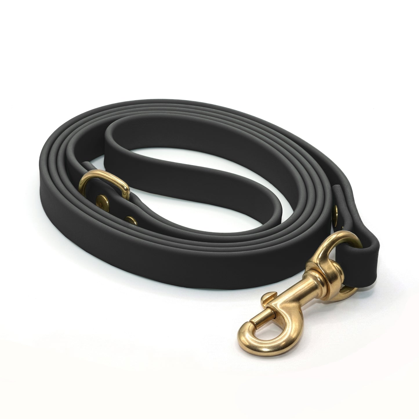 Black biothane dog leash with brass hardware on a white background