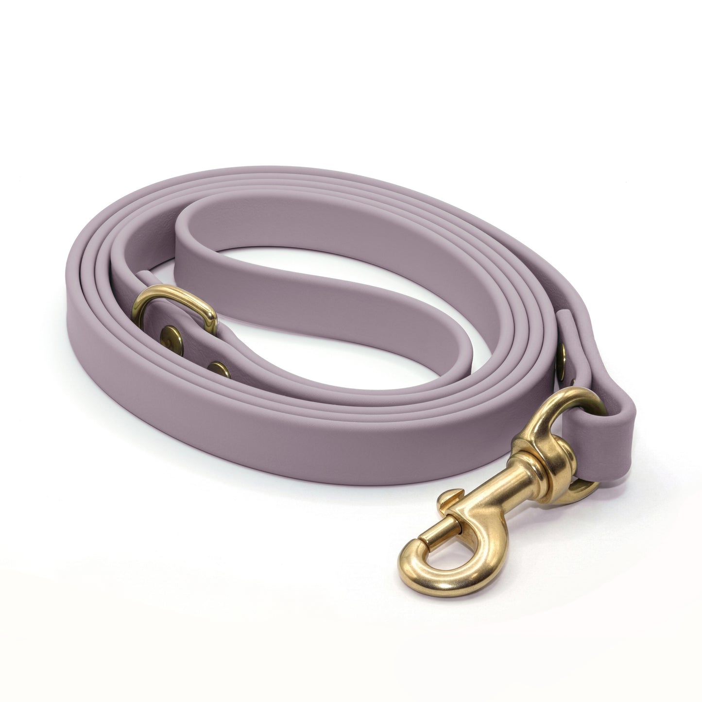 Lavender biothane dog leash with brass hardware on a white background