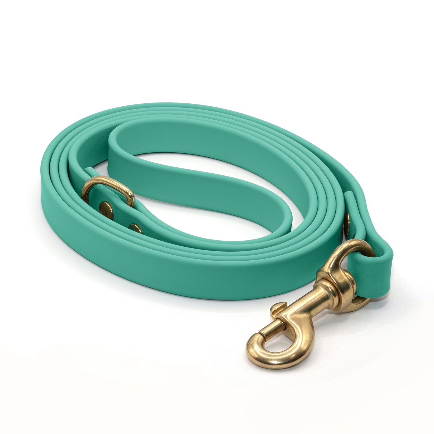 Teal biothane dog leash with brass hardware on a white background